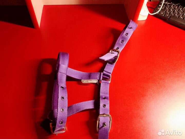 Недоуздок для пони