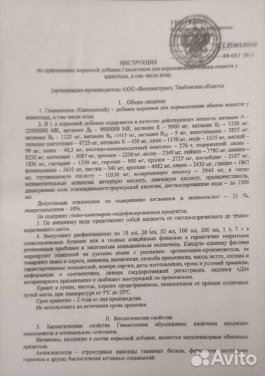 Гамматоник