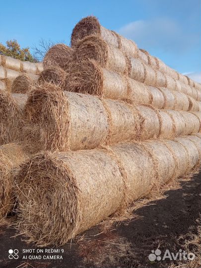 Сено. Солома. Доставка сена