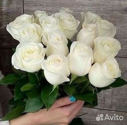 Длинные высокие розы 110 150 160 180 200 см