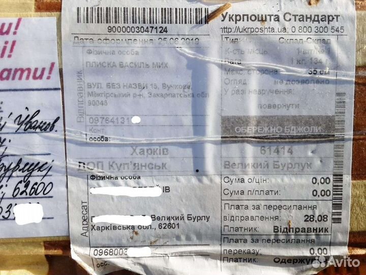 Пчеломатки тип 