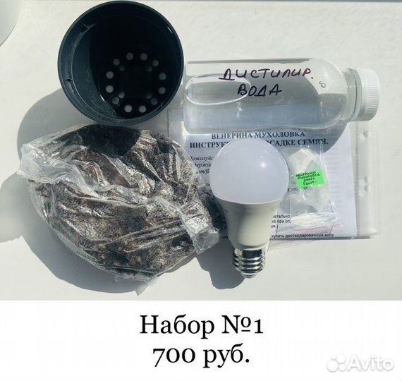 Мухоловка. Набор для выращивания из семян