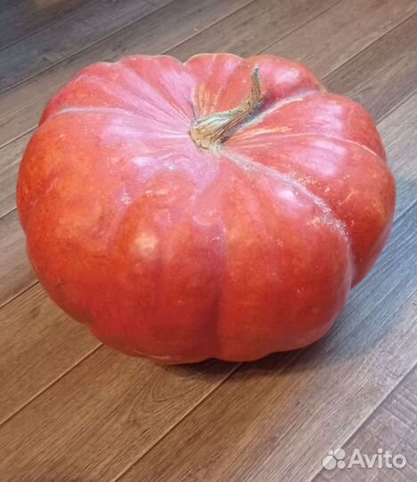 Семена тыквы