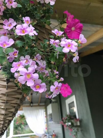 Дом 54 м² на участке 6,7 сот.