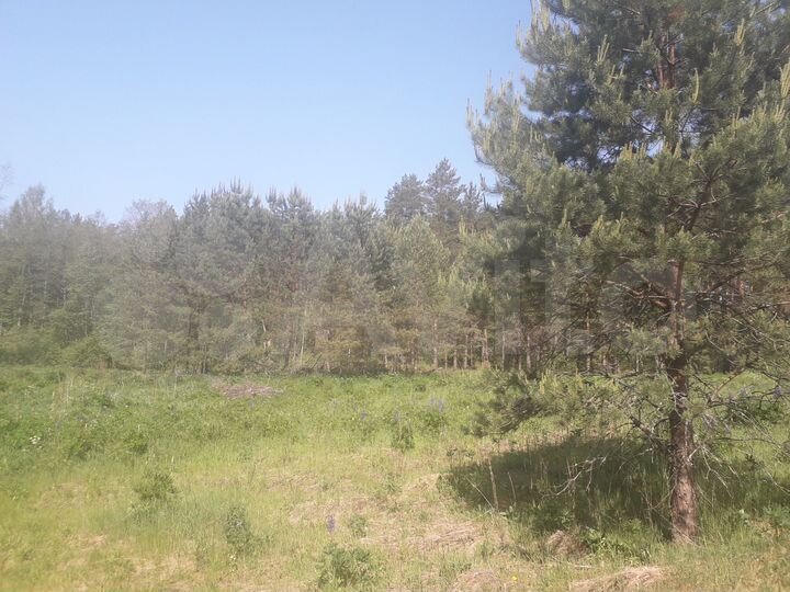 Участок 2,02 га (СНТ, ДНП)