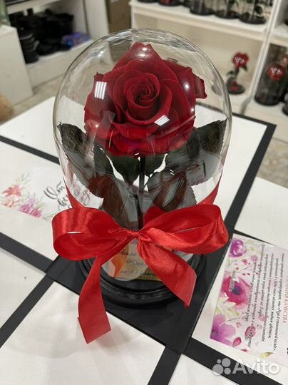Розы в колбе