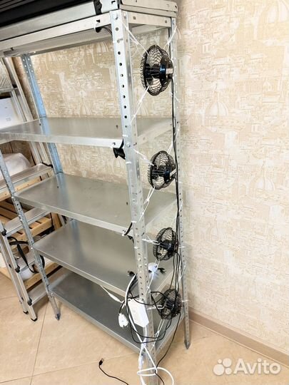 Стеллаж для выращивания микрозелени и растений