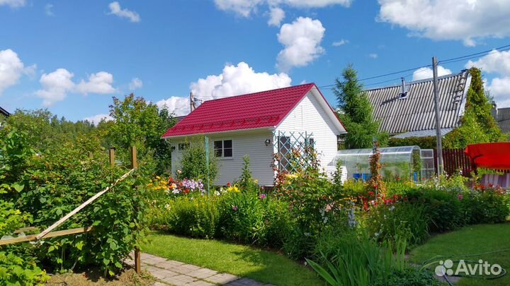 Гостиница для собак