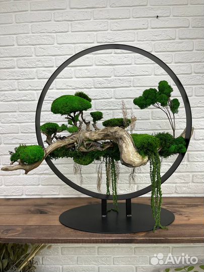 Бонсай, композиция с корягами