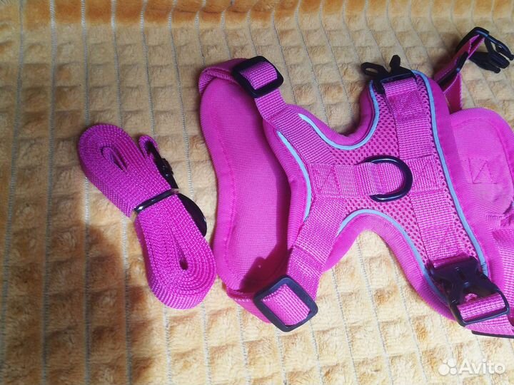 Шлейка для собаки