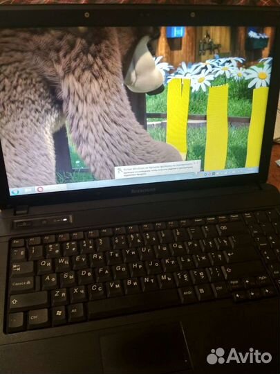 Ноутбук lenovo b550 память4гб диск500 плюс нетбук