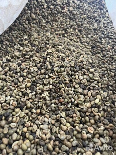 Кофе в зернах зеленый Робуста оптом