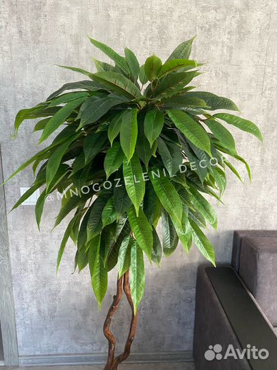 Искусственное дерево манго/персик