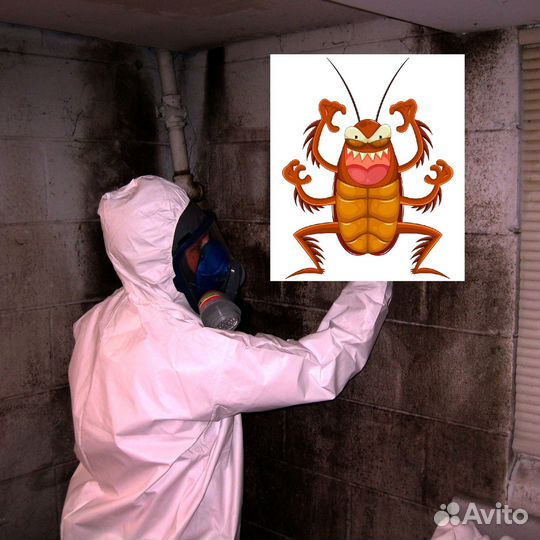 Уничтожение клопов, тараканов, плесени, грызунов