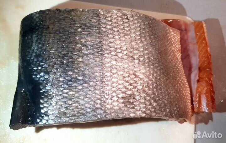 Кета потрошенная