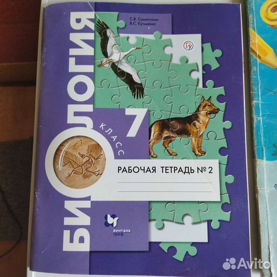 Рабочие тетради 7 класс