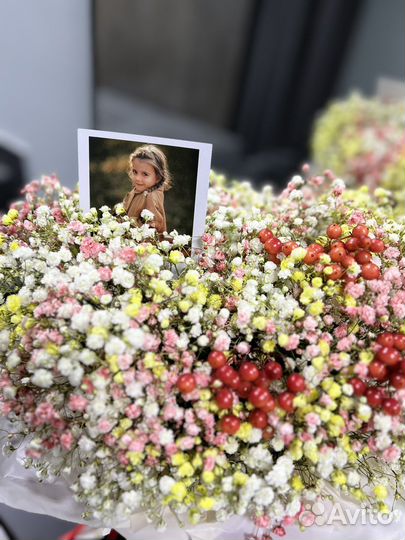 Гипсофила живые цветы букеты доставка