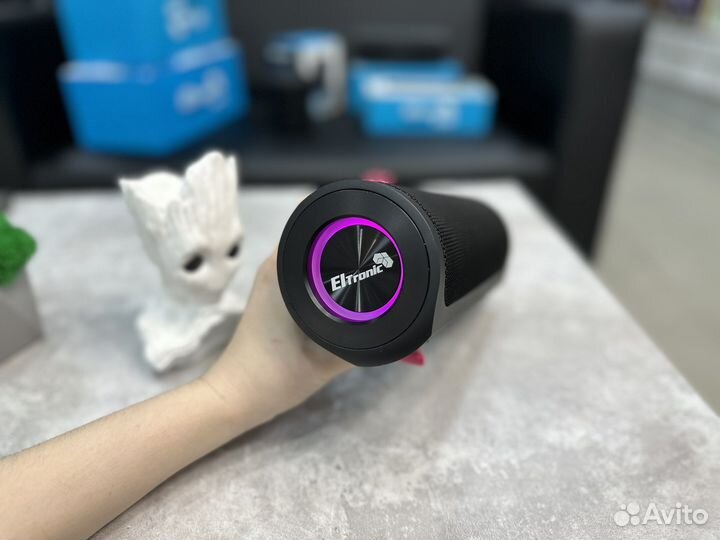 Колонка Eltronic 20-75