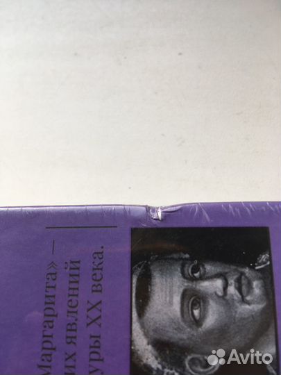 Мастер и Маргарита с иллюстрациями и коммен