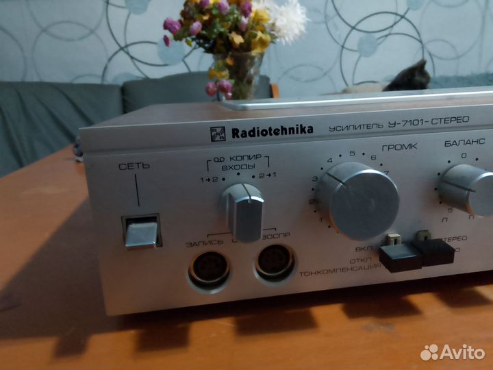 Усилитель radiotehnika 7101