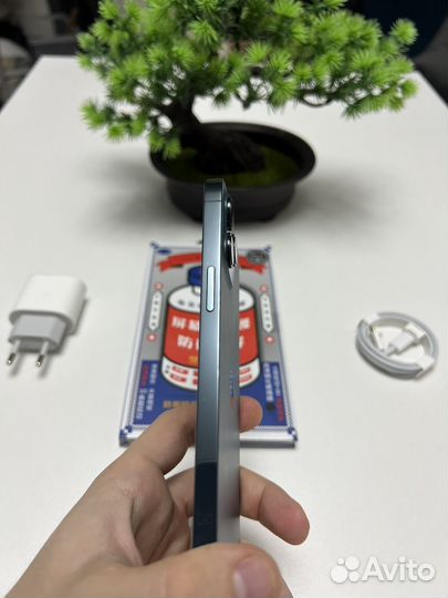 iPhone 12 Pro Max, 256 ГБ