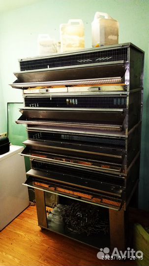 Клетки для перепелов бу