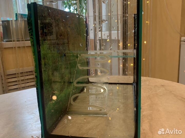 Террариум для черепахи