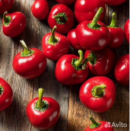 Семена редких перцев для дома и дачи