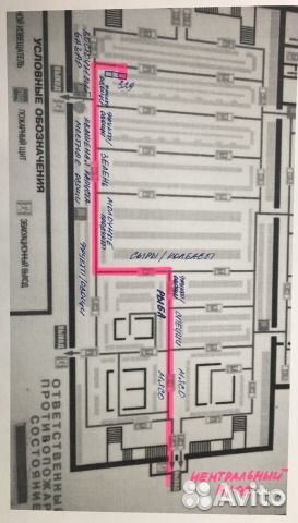 Фиалка рс-Мавка