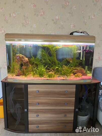 Аквариум Jebo R3126