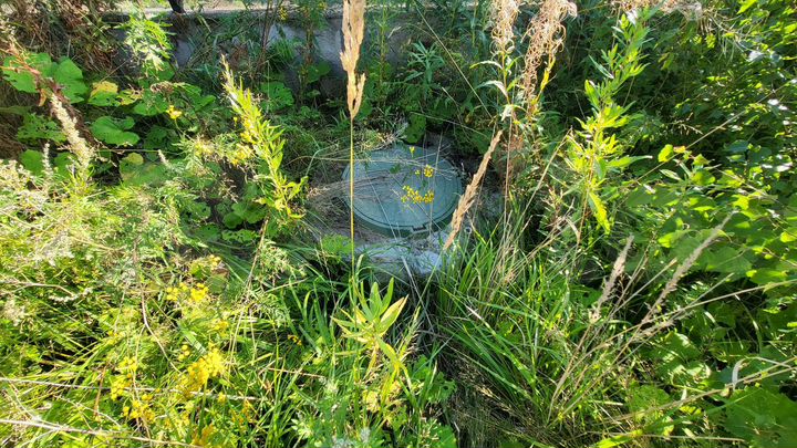 Участок 5,5 сот. (ИЖС)