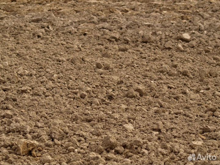 Приму грунт