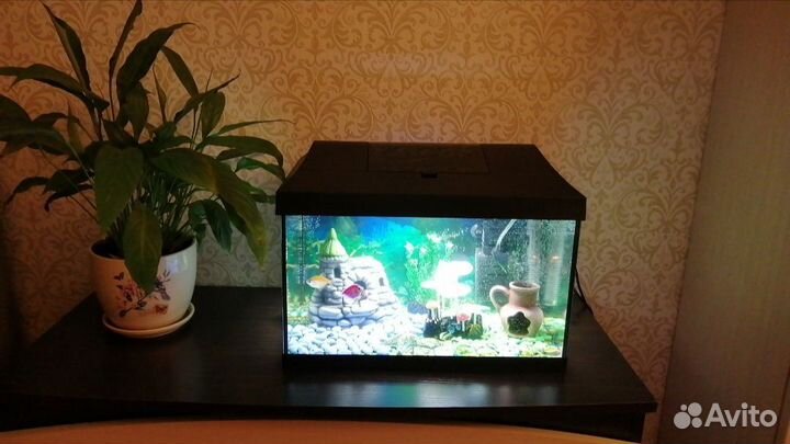 Аквариум Aquael 25 литров /Аквариумный набор