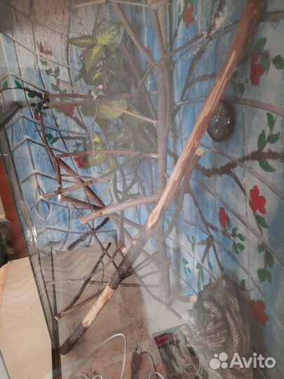 Террариум для хамелеона