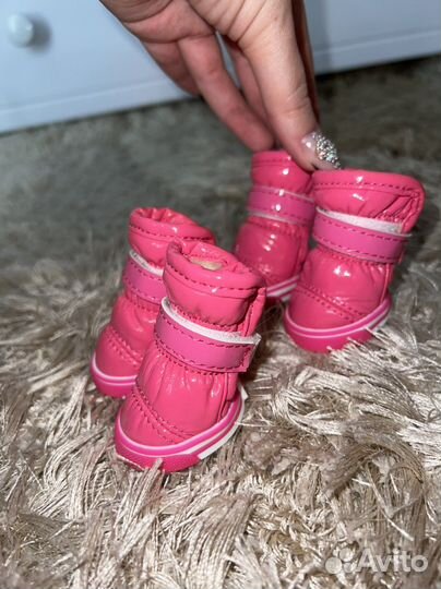 Обувь для маленьких пород собак