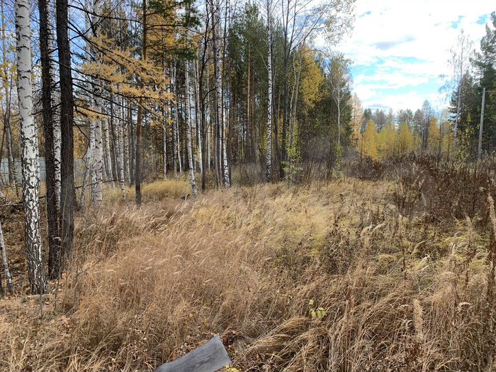 Участок 10 сот. (СНТ, ДНП)