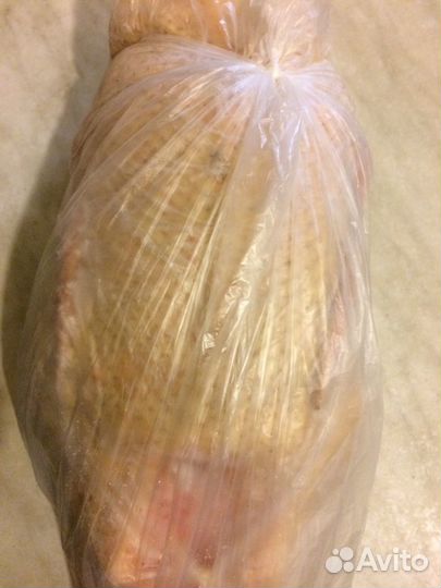 Индоутка домашняя мясо