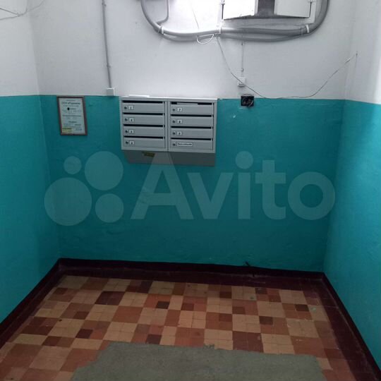 3-к. квартира, 81,8 м², 2/3 эт.