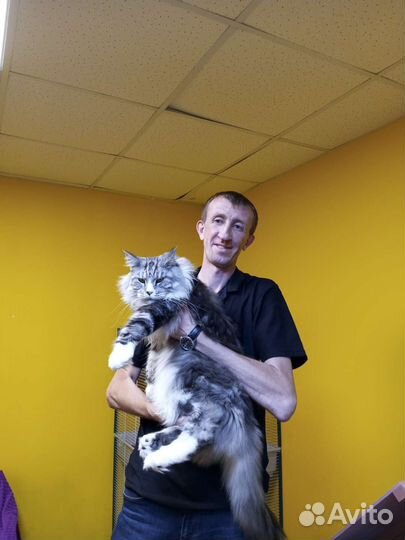 Ветеринарный врач на дом