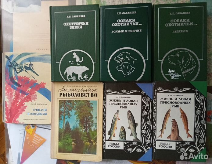 Охота Рыболов Охотничьи просторы Собаководство