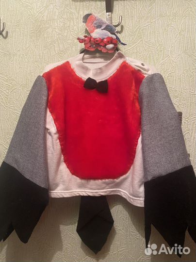 Костюм снегиря