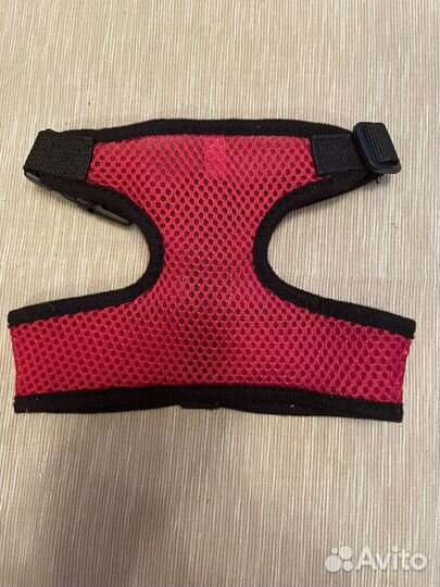 Новая шлейка для кошек и собак мелких пород. М