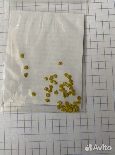 Семана огурцов, томатов от агрофирмы Партнёр