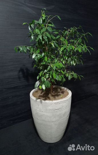 Кашпо, Вазоны, Горшки под заказ из бетона