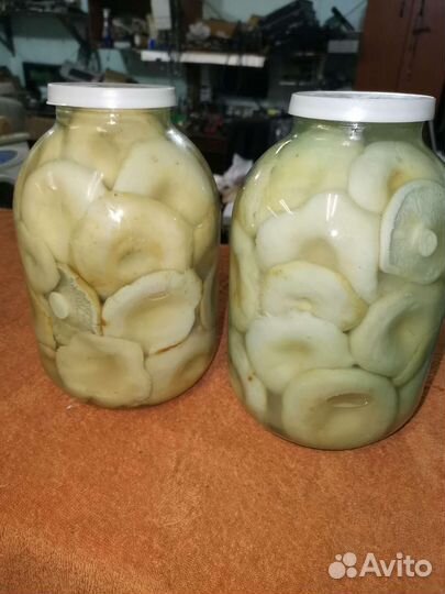 Грибы грузди солёные