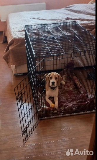 Клетка для собак