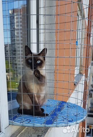 Балкон для кошек на окно «Васька» объявление продам