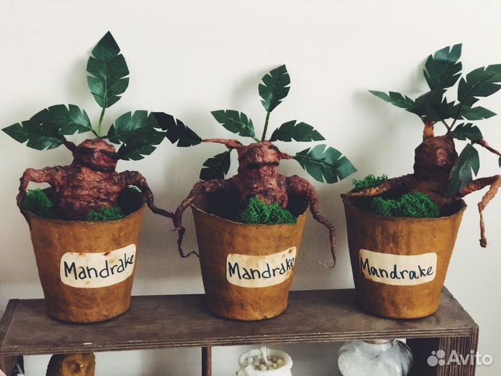 Гарри Поттер мандрагора реквизит