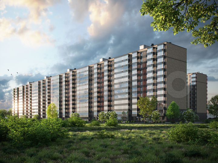 Квартира-студия, 24,1 м², 2/12 эт.