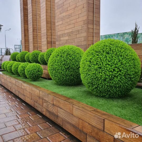 Самшит декоративный/ искусственное дерево